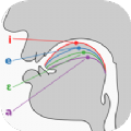 英语国际音标学习 v1.3.0安卓版