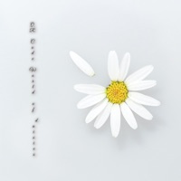 雏菊的二维世界苹果版 v1.1