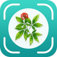 植物百科苹果版 v1.1