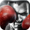 真实拳击 Real Boxing v1.3.1