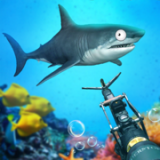 水族馆杀手 v1.0.3