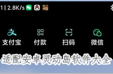 适配安卓灵动岛软件大全-安卓灵动岛,适配安卓灵动岛,灵动岛APP软件有哪些推荐