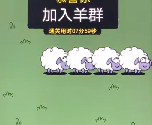 羊了个羊10.19关卡速通指南-羊了个羊10.19关卡怎么过