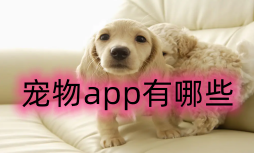 宠物互动app大全-宠物app下载APP软件有哪些推荐