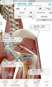 3D人体解剖下载_3D人体解剖app免费下载