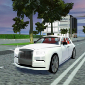 豪华停车模拟(LuxuryCarParkingSim)