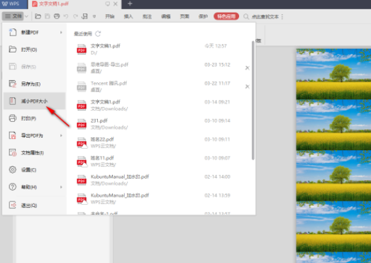 WPSPDF文件怎么压缩变小