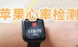 苹果心率检测软件合集-苹果心率检测appAPP软件有哪些推荐