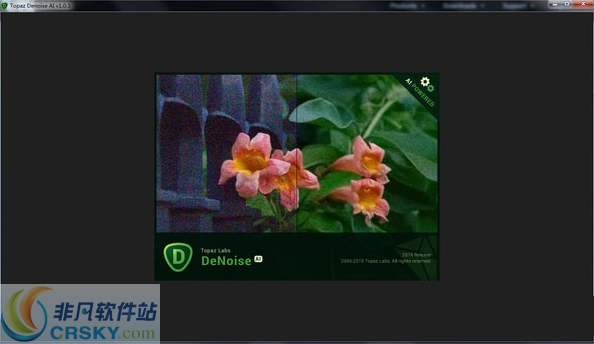 Topaz DeNoise AI(AI图片降噪软件) v2.1.7下载-PC软件[Topaz DeNoise AI(AI图片降噪软件) v2.1.7]下载