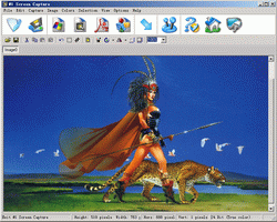 #1 Screen Capture v4.53下载-PC软件[#1 Screen Capture v4.53]下载