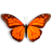 全屏蝴蝶飞舞动态壁纸Butterfly On Desktop v1.92