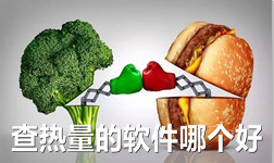 查热量的软件哪个好-食物热量查询appAPP软件有哪些推荐