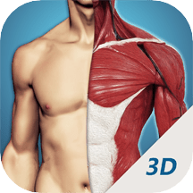 3d透视 v2.2.8