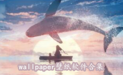 wallpaper壁纸软件合集-wallpaper壁纸,壁纸软件APP软件有哪些推荐