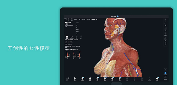 complete anatomy v1.93下载-视频软件complete anatomy v1.93pc下载